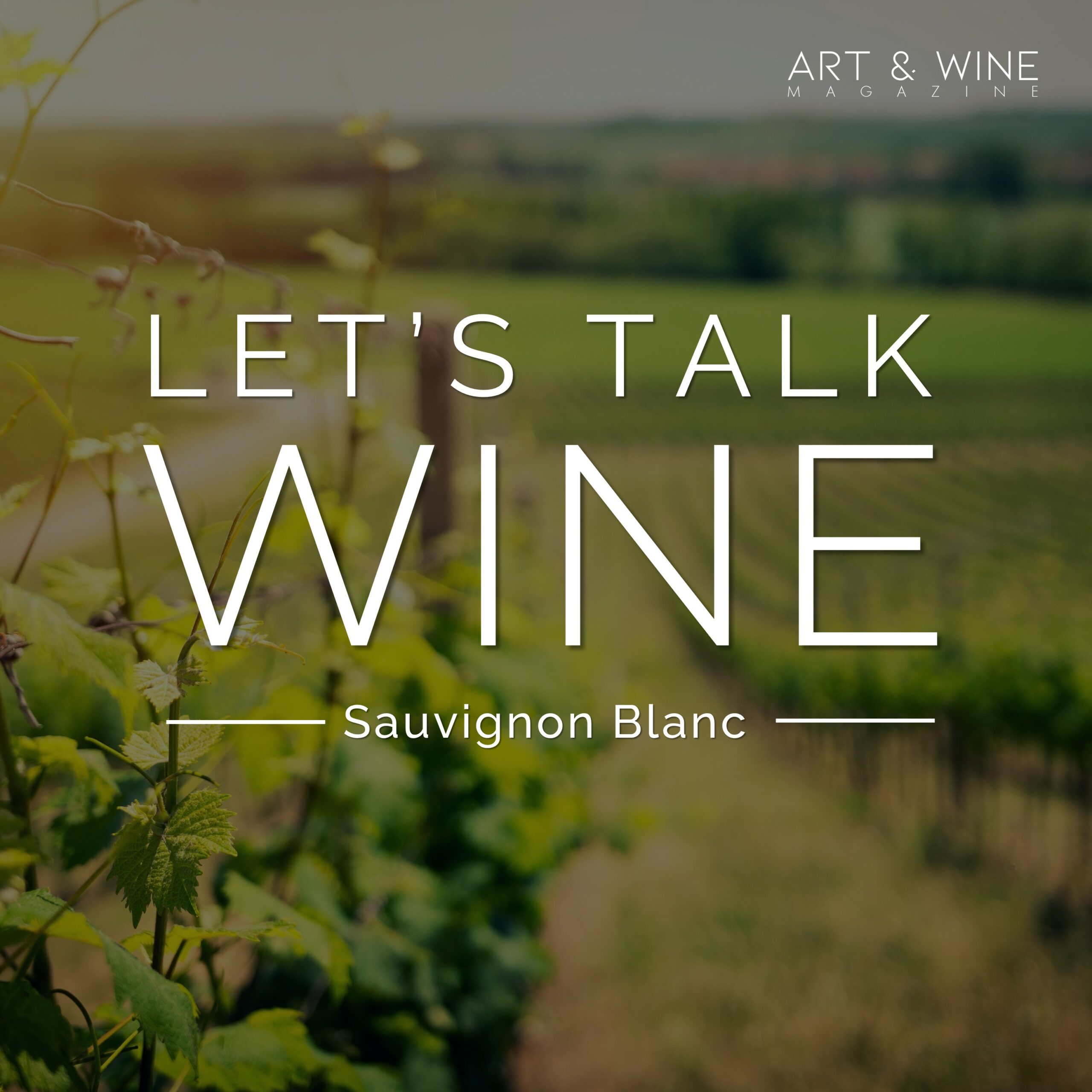 Let’s talk WINE – Sauvignon Blanc