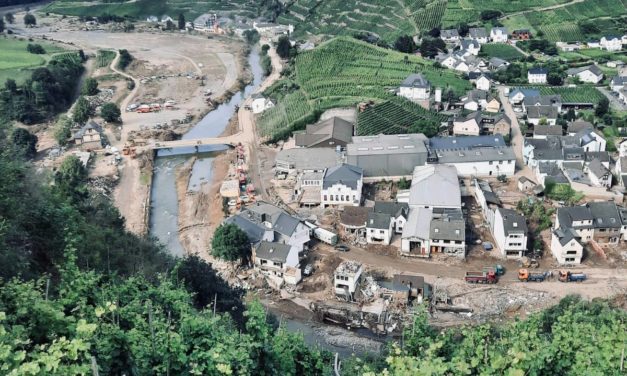 Weinbau an der Ahr – Wie sieht es nach der Katastrophe aus?