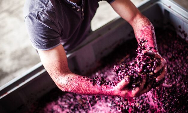 Deutschland kann Rotwein! Christian Peth macht’s vor