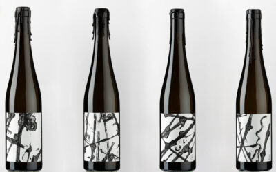 Design meets Wine – Trinkbare Kunstwerke, die HEM-Manufaktur und das Rebschwarz